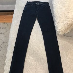 Citizens of Humanity avedon slick skinny leg jean